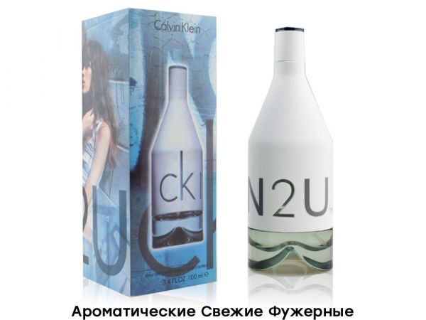 CALVIN KLEIN CK IN2U FOR HIM, Edt, 100 ml (Male) wholesale